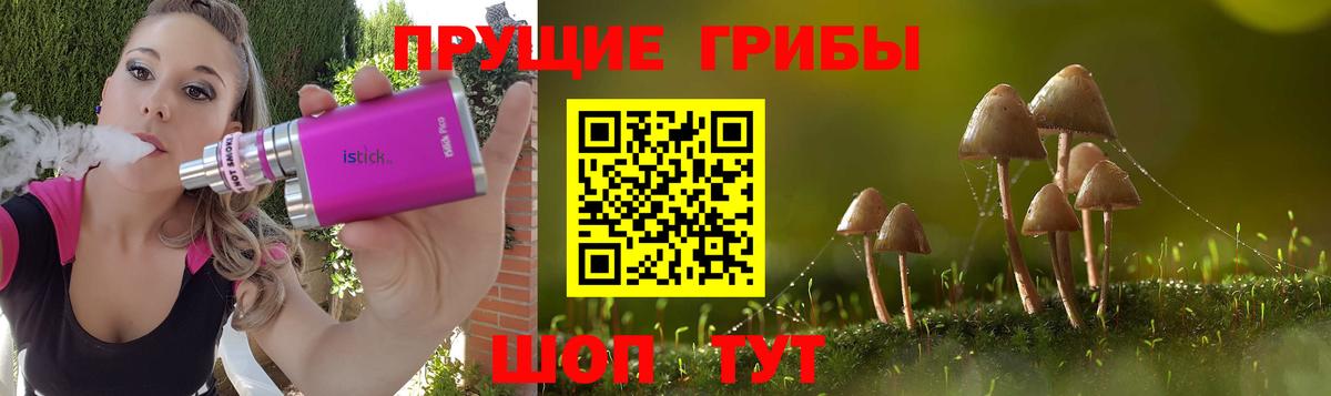 Псилоцибиновые грибы ЛСД  Вход с VPN  закладка  Балашиха  Псилоцибиновые грибы Psilocybine cubensis 